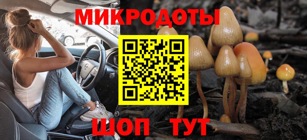 Галлюциногенные грибы ЛСД  Вход с VPN  Псилоцибиновые грибы Psilocybine cubensis  Северобайкальск 